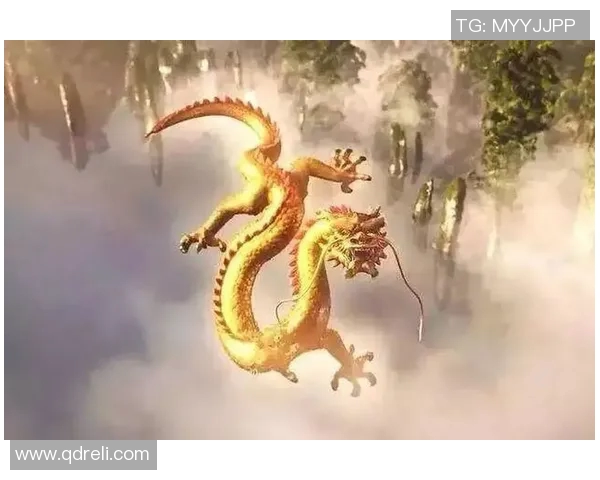 可兰白克的传奇人生与不屈精神探秘之旅