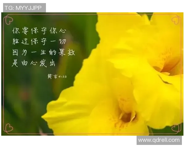 康月的温暖旅程与心灵成长的启示分享