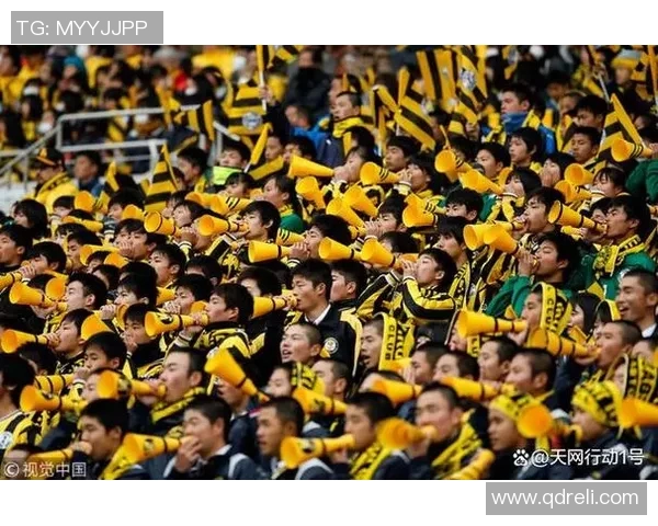 球迷疯狂冲场内抢C罗球衣引发欧冠赛场奇观