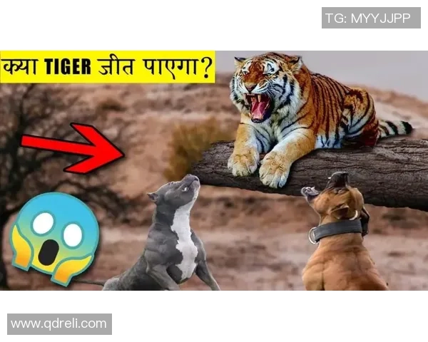 上港与东吴展开激烈点球大战谁能笑到最后夺得胜利 上港与东吴展开激烈点球大战谁能笑到最后夺得胜利