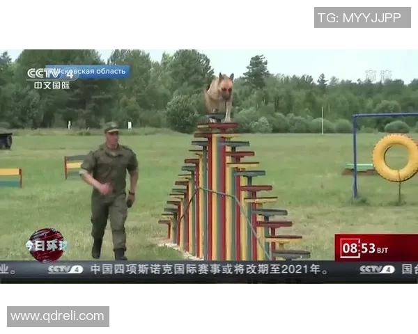 东帝汶与泰国激战正酣比赛结果揭晓引发热议