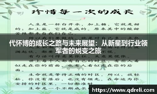 代怀博的成长之路与未来展望：从新星到行业领军者的蜕变之旅